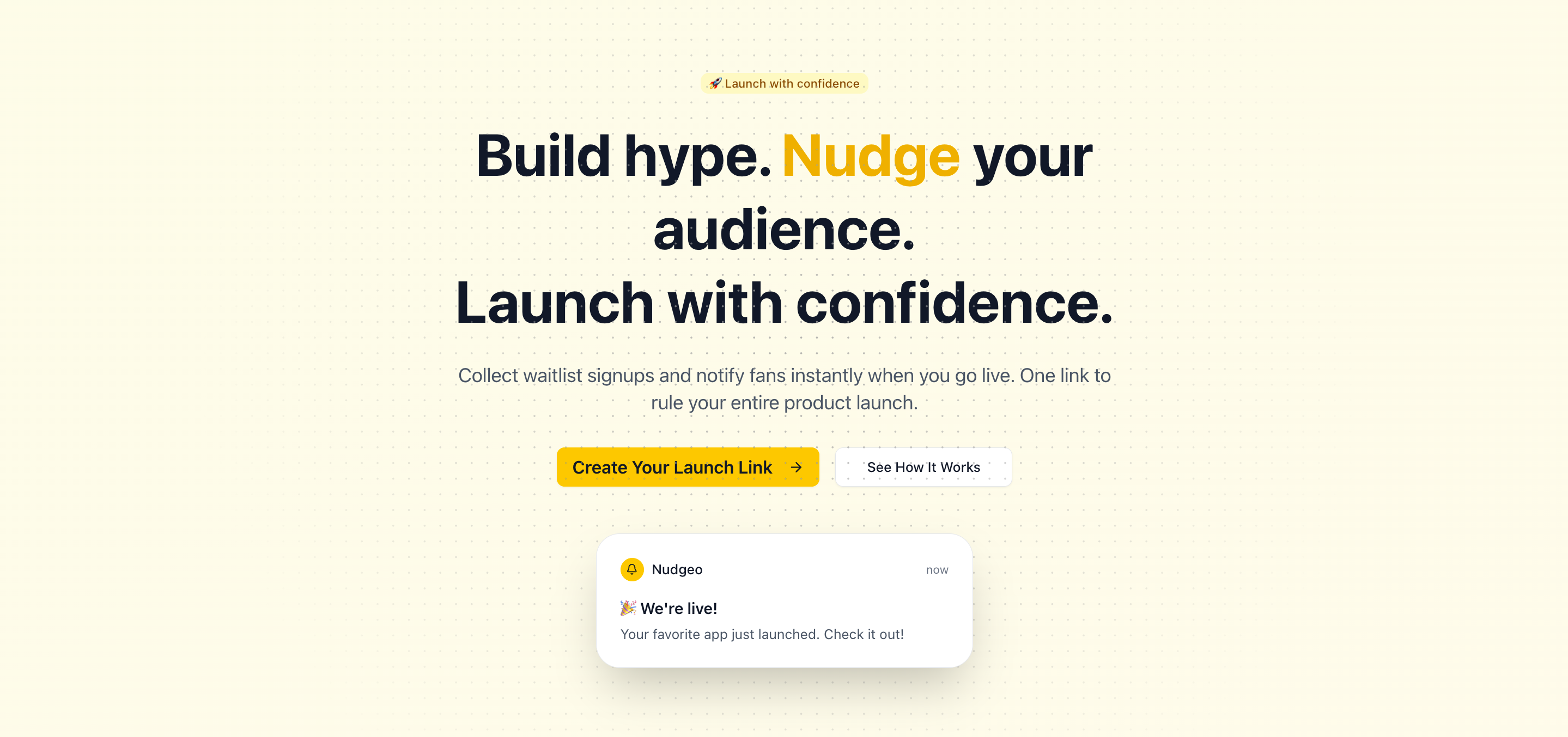 Nudgeo Launch 🚀